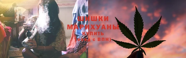 бошки Бронницы