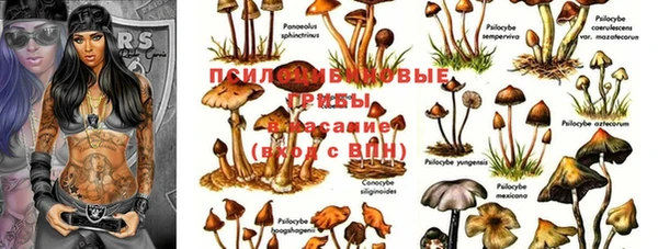 кокаин Бородино