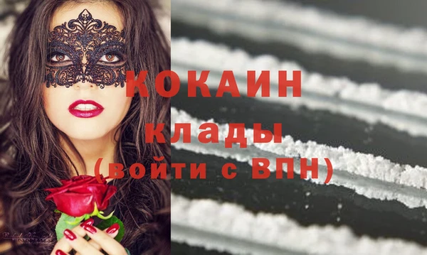 бошки Бронницы