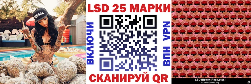 Наркотические марки 1,8мг  blacksprut как зайти  Каневская  дарнет шоп 